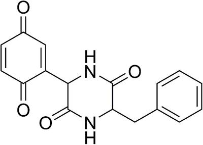 Investigating the Mechanism of Action of Diketopiperazines Inhibitors of the Burkholderia cenocepacia Quorum Sensing Synthase CepI: A Site-Directed Mutagenesis Study